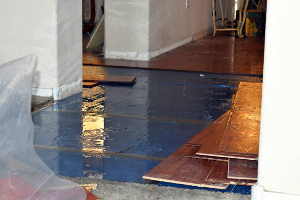 Professional Sewage Cleanup technician working in Durham, NC
